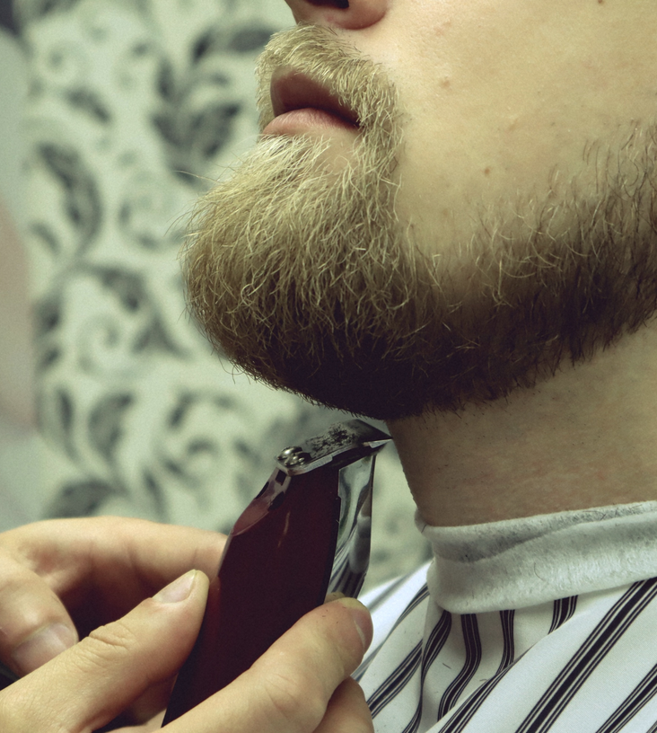 svc1 beard grooming sld1